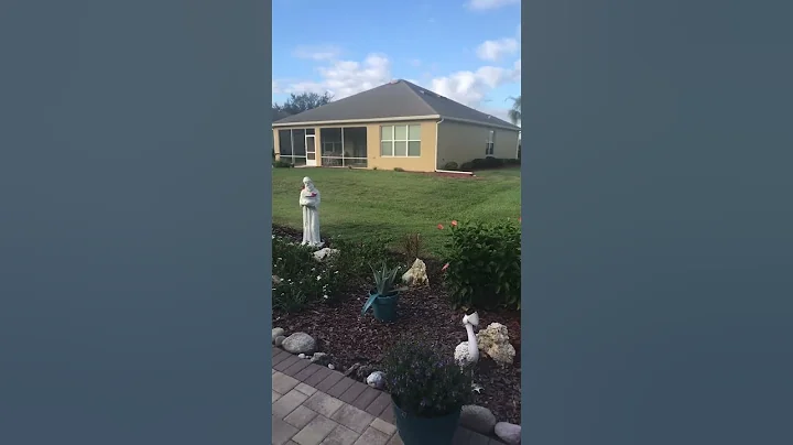 #floridalife