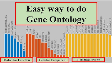 Gene Ontology Analysis: Unveiling the Function of Your Genes