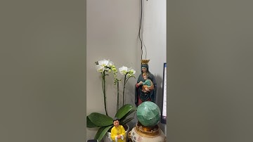 LÒNG THƯƠNG VÀ SỨ VỤLỜI NÓI CÒN KHÔNG THẬT THÌ ĐỪNG NÓI GÌ CHUYỆN KHÁC – Lm. Anmai, CSsR