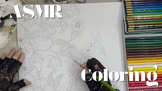 asmr | Coloring with colored pencils  色鉛筆でぬりえ