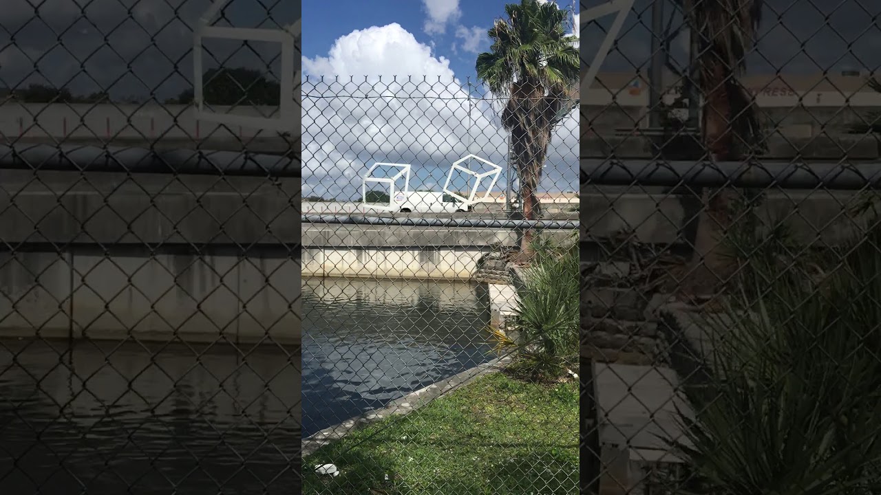 Street Art Miami by artist Rafael Montilla, Palmetto 826