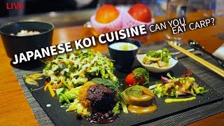 Can you eat Japanese Carp? Koi w/ Mango Sauce for lunch