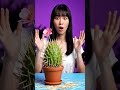 #Shorts #YTShorts #YouTubeShorts #AICartoonShorts #ShortsVideo #TrendingShorts #ShortsTrend
