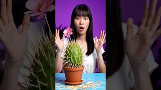 #Shorts #YTShorts #YouTubeShorts #AICartoonShorts #ShortsVideo #TrendingShorts #ShortsTrend