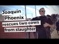 Joaquin Phoenix RESCUES two cows from slaughter after Academy Awards