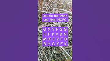 Observation Visual Test: 5 Seconds ForYou To SpotHGFG Try Your Skills!#search #quiz #puzzle #shorts