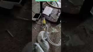 Chico Destroza La Casa Por Un Celular