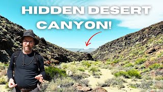 Exploring Native Artifacts In a Hidden Desert Canyon