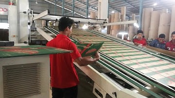 Shanghai Dinglong Vacuum transfer TP1224 flexo machine.