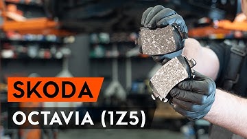 Hoe een remblokken achteraan vervangen op een OCTAVIA 1Z5 [AUTODOC-TUTORIAL]