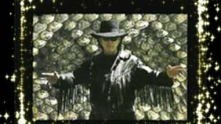 Video thumbnail of "Tony Joe White - Feeling Snakey - CD Snakey"