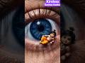Hey Murlidhar Chaliya Mohan #krishna #murlidhar #radheshyam #radheradhe #love #devnarayan #viral