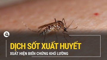 Dịch sốt xuất huyết xuất hiện biến chứng khó lường | Truyền hình Quốc hội Việt Nam