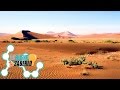 Tres maneras de encontrar agua en el desierto | ES BUENO SABERLO TVUDLAP