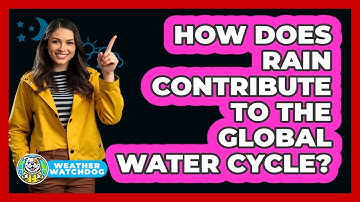How Does Rain Contribute To The Global Water Cycle? - Weather Watchdog