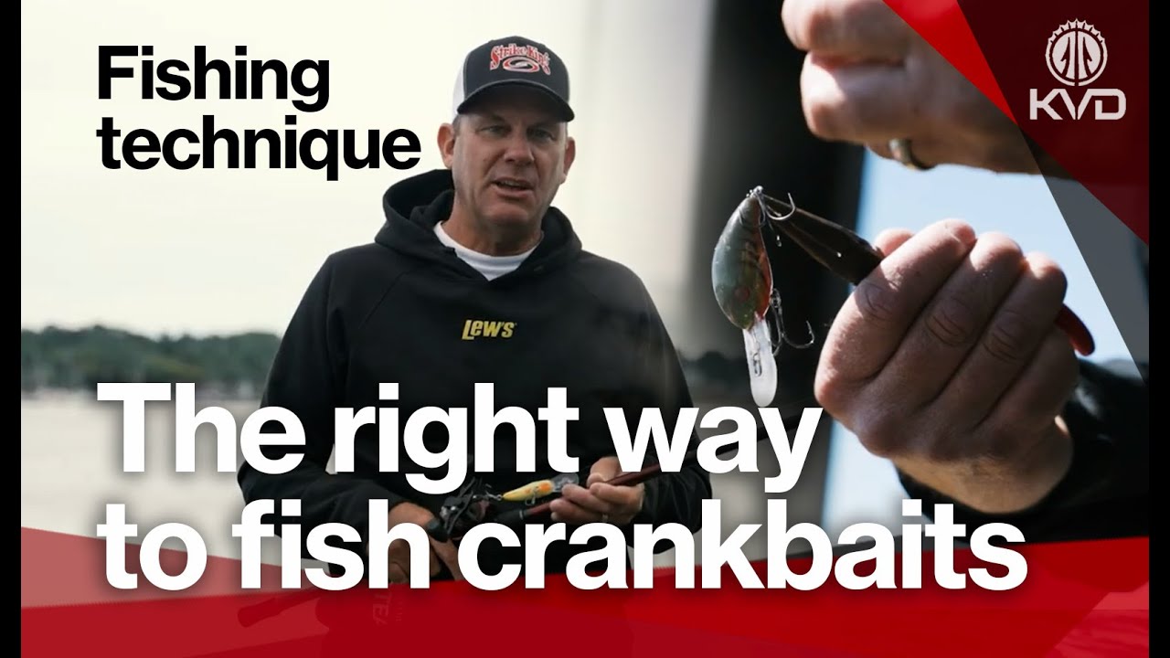 Ловля мелкоротого окуня в чистой воде — приманки, удилища, катушки и техника с KVD