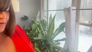 Uno No Mercy, what is different then the original? #amazoninfluencer #ad #watch