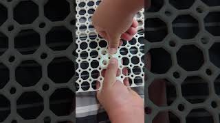 Multiboard setup #3dprinting #beastieboys #multiboard Profile