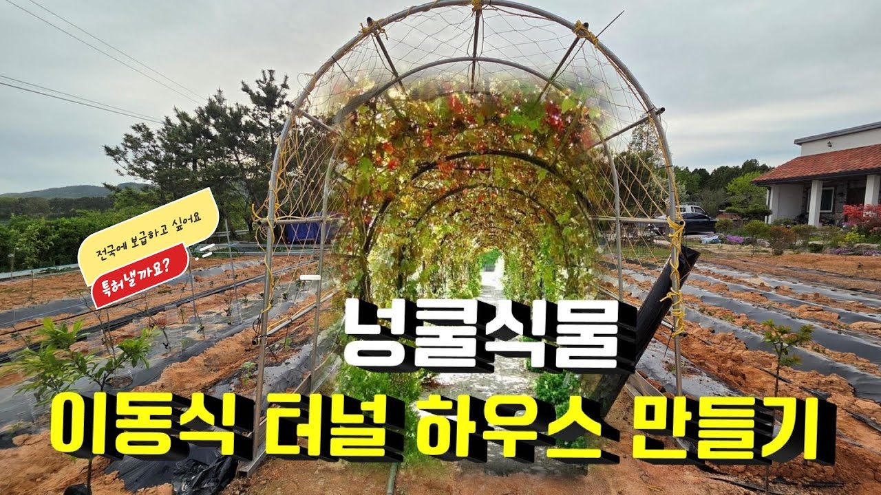 (넝쿨식물 아치형 터널하우스 만들기) 만들고 싶어질 겁니다. 제작 방법, 가격 다 알려드리니까요