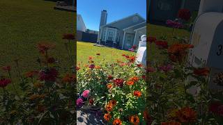 House for sale #hopemillsnc #hopemillsnc  #fayettevillenc #fortbraggnc