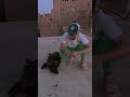 الصحاب خابت يا نمره 