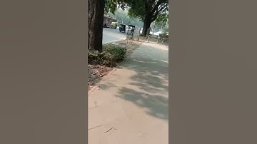 Ignou Solved Assignment 2018-19