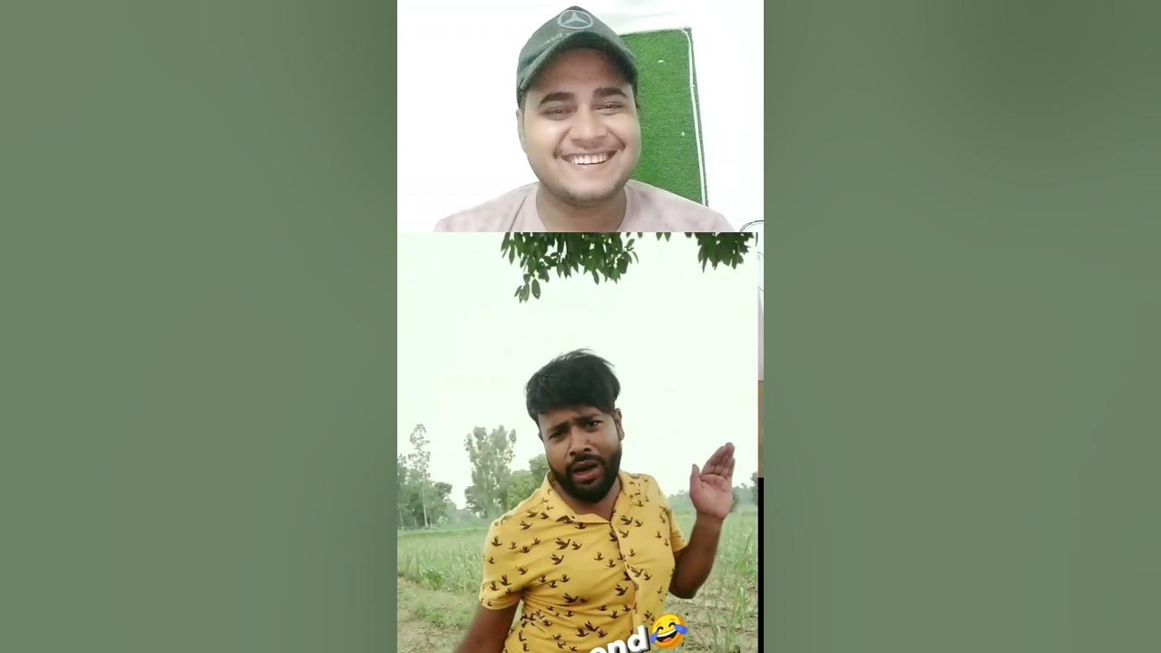 holi pagal