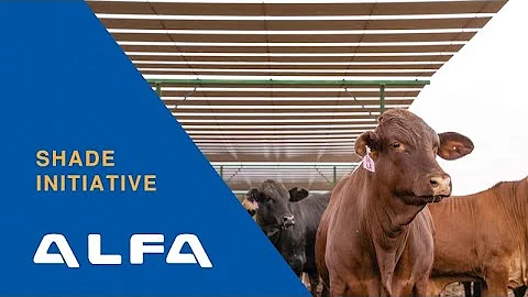 ALFA Shade Initiative