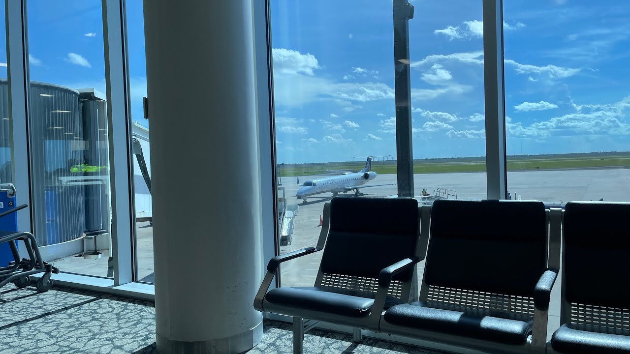 Pisces ♓️ Gone but not forgotten 🫣