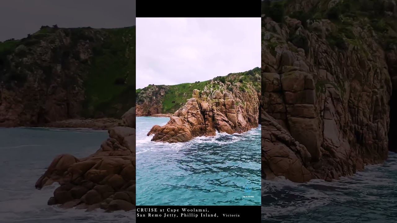 Cruise at Cape Woolamai Philip Island  #shortsvideo #australia #iphone
