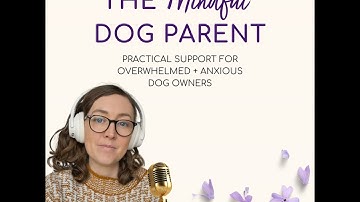 The Myth of the Perfect Dog: Letting Go of Unrealistic Expectations
