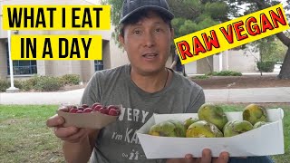 What I Eat in a Day » 27 Year Raw Vegan ☆ When I Travel