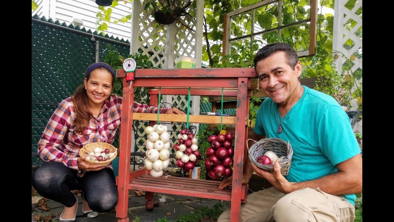 Como fazer Réstia de Cebola Orgânica / How to Make Organic Onion String