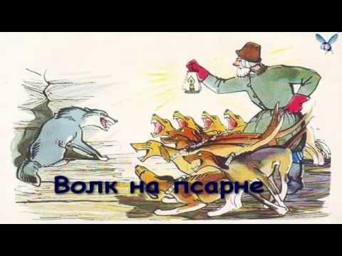 Басня волк на псарне видеоурок. Басня волк на псарне видеоурок. Басня волк на псарне видеоурок. Волк на псарне мораль. Басня псарня овчарня.