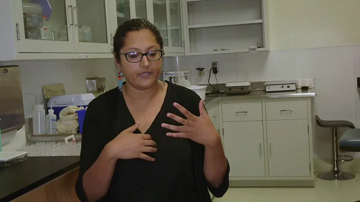 Dr. Divya Sitaraman Interview on Fruit Fly Study