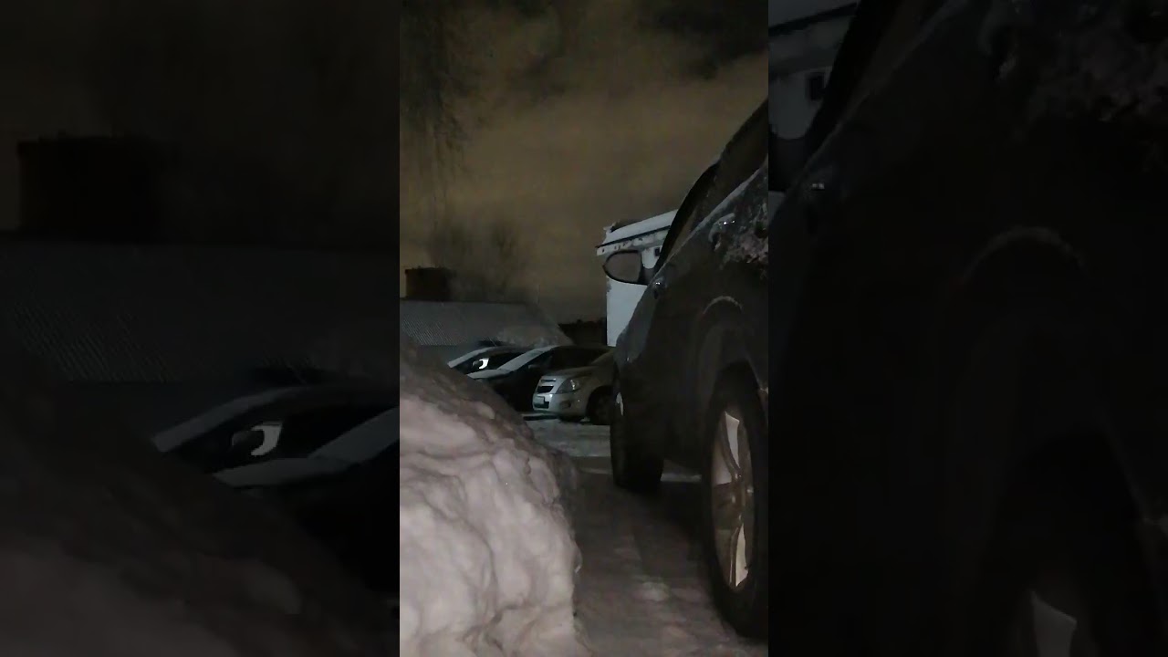 +901р. Дмитрий Александрович П. СПАСИБО!!! на Сбербанк 2202203654418625 Елена К. 11 февраля 2026г.