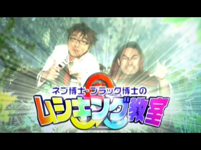 Dr. Neb and Dr. Black's Mushiking Class ~Small Beetles~ - YouTube