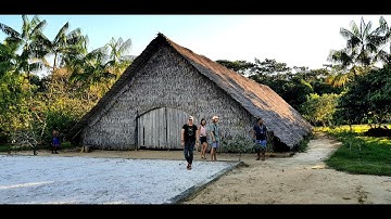 Ayahuasca Retreat, Brazil , New Year 2022