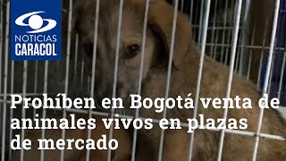 Prohíben en Bogotá venta de animales vivos en plazas de mercado