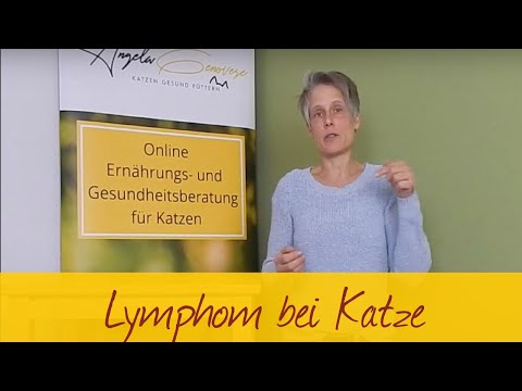 Video: Lymphom Bei Katzen