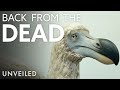 Reviving Extinct Species: The Dodo and Beyond