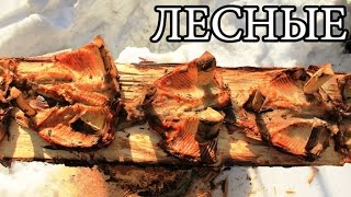 Дикая кухня - ЖАРЕНАЯ РЫБА НА ДОСКЕ | Деревянные гвозди - Planked Fish