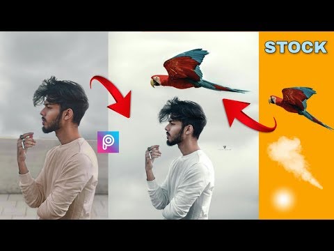 Vijay mahar bird Parrot Concept Artwork photo editing | PicsArt Vijay mahar new post editing 2020 @RaushanSingh-ie3ut