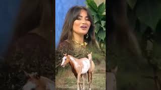 Zeyneb Hesenli Gel Gel Ay Aman Eta.pg