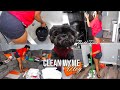 DEEP CLEAN ;MY FIRST APARTMENT W/ ME @20 l Meet My Dog ONYX l Satisfying &amp; Motivational l It&#39;s Nu Nu