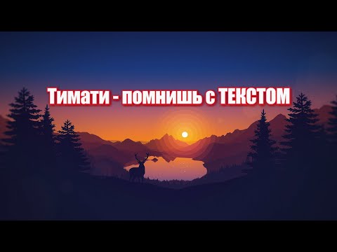 Тимати - Помнишь С Текстом Lyrics