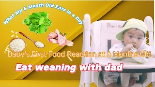Baby Weaning | Babys First Food Reaction at 6 Months Old | Funny Baby Loves Food