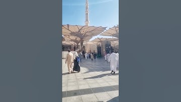 Masjid Nabawi Prayer Time With Surah At-Tin سورة التين #surahattin #egzonibrahimi