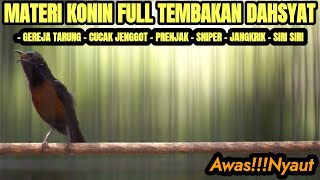 MASTERAN SUARA BURUNG KONIN FULL TEMBAKAN MATERI MEWAH 100% AMPUH