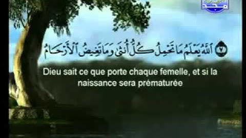 سورة الرعد كاملة للشيخ السديس والشريم